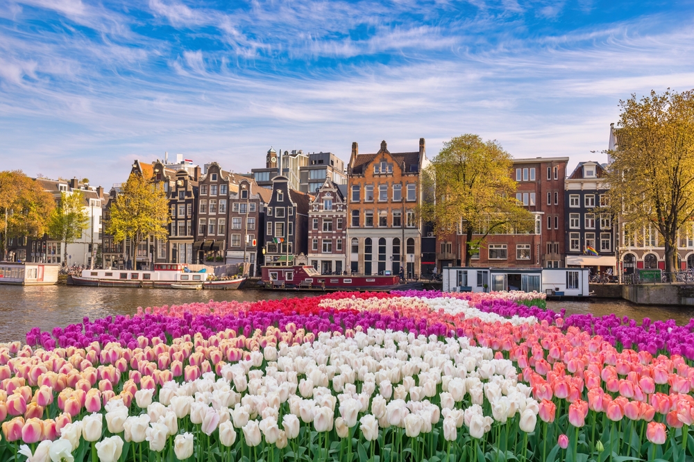 Amsterdam - studietur